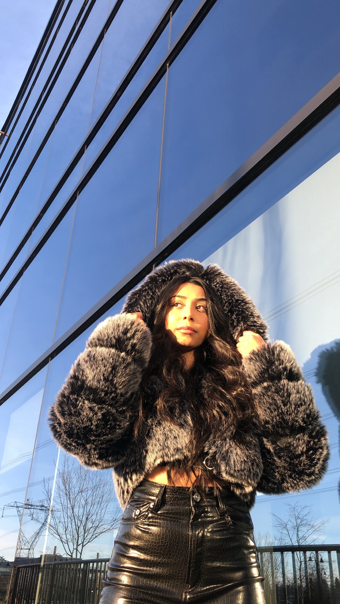 Aliyah cropped fur coat
